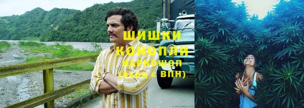 шишки Волосово